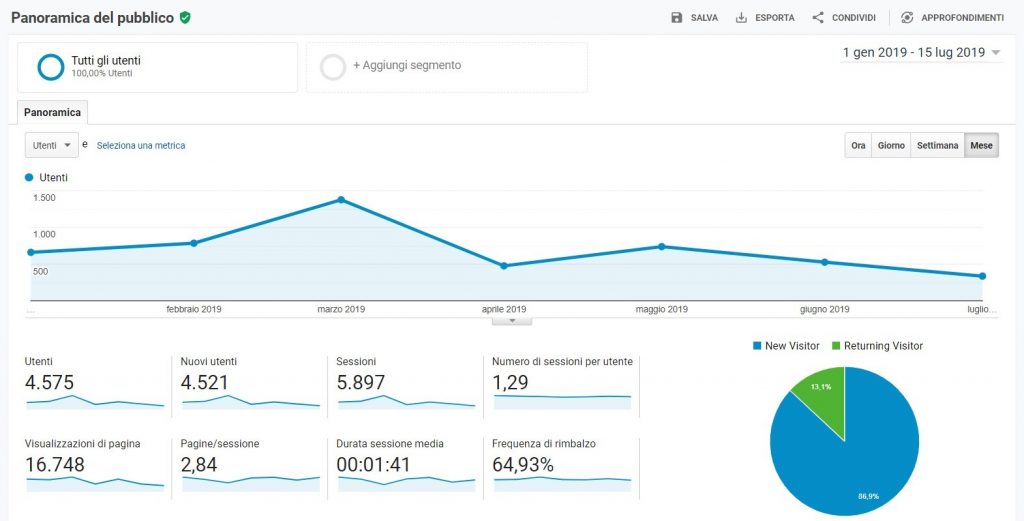 Google Analytics: screenshot